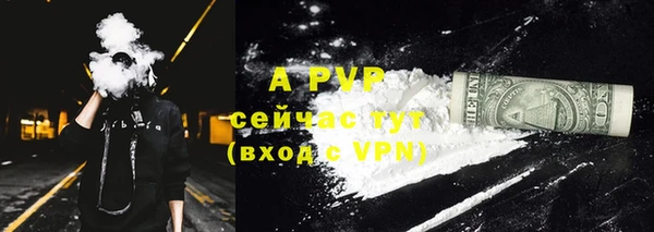 крисы Тутаев