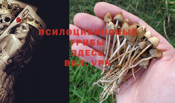 марихуана Гусев