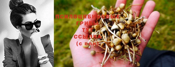 круглые Гусь-Хрустальный