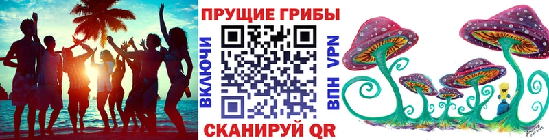 MEGA зеркало  наркошоп  Пионерский  Галлюциногенные грибы ЛСД 